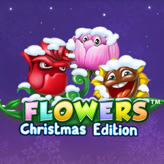 Flowers Christmas
