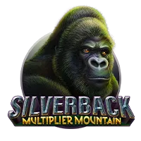 Silverback Multiplier Mountain